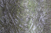 Hepworth fibreglass roof work